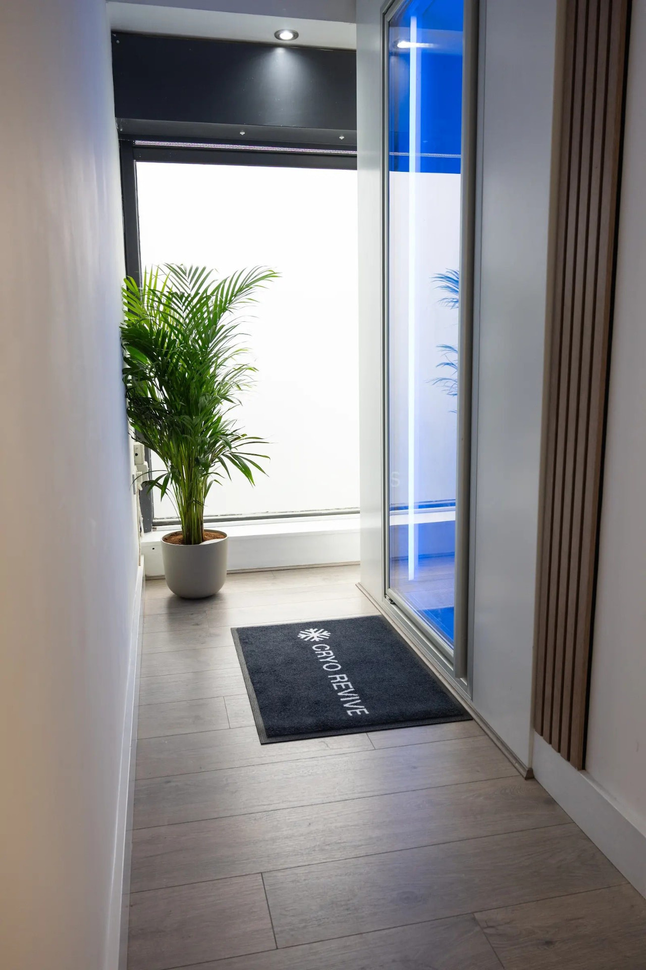 The entrance to the Cryo Revive cryotherapy chamber